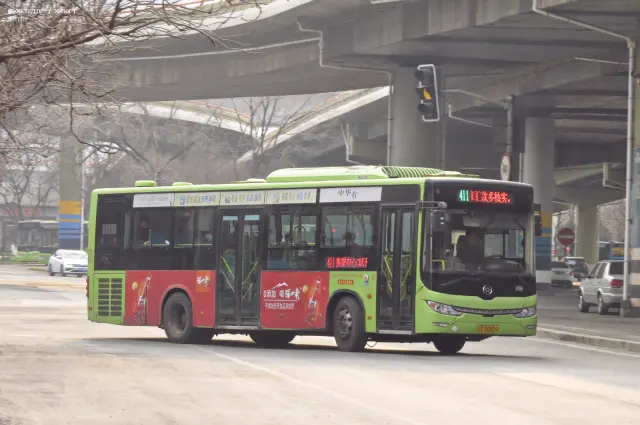 辽C D0809