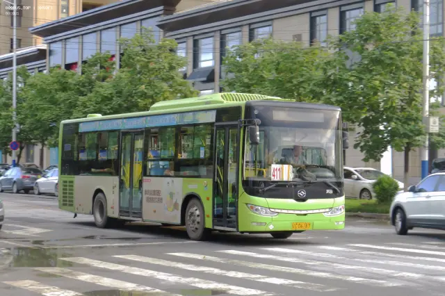 辽C D6187