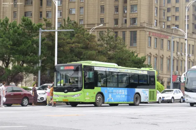 辽C D3713