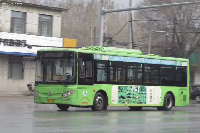 800BUS
