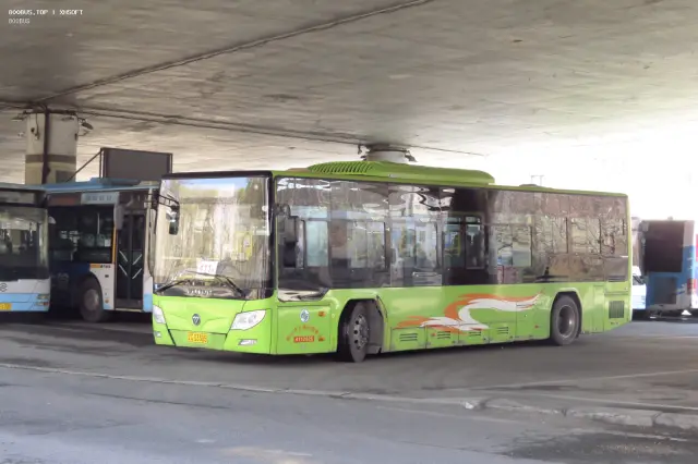 辽C D3305