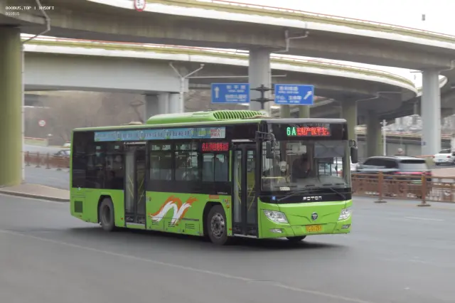 辽C D1251