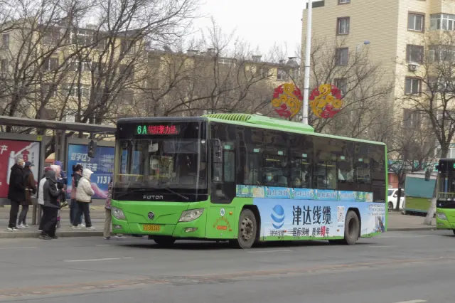 辽C D8365