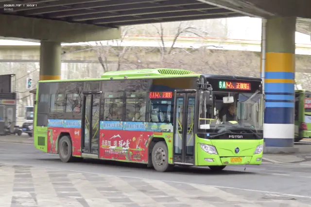 辽C D3576