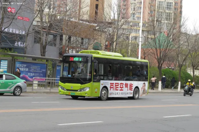 辽C 06499D