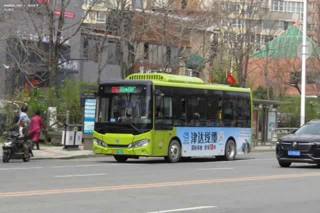 辽C 00613D