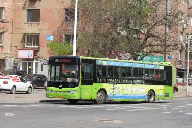 辽C B4319