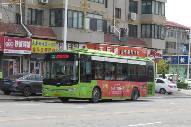 辽C D2667