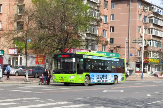 辽C D8080