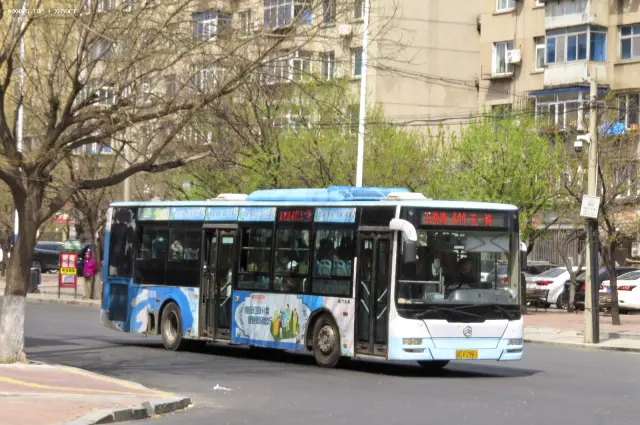辽C F2961