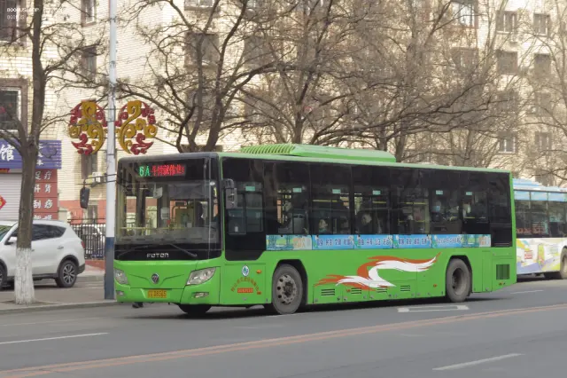 辽C D8365