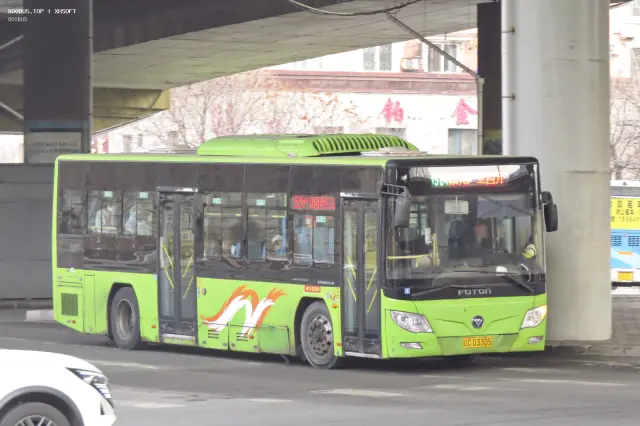 辽C D3305