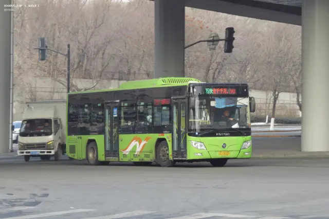 辽C D5037