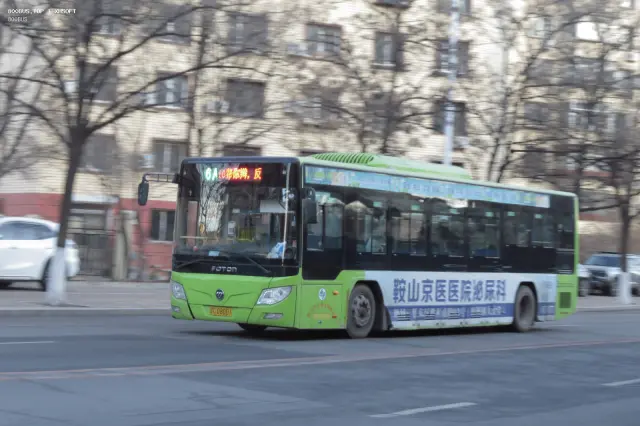 辽C D8001