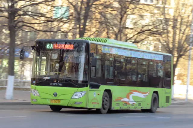 辽C D1251