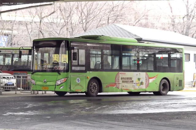 800BUS