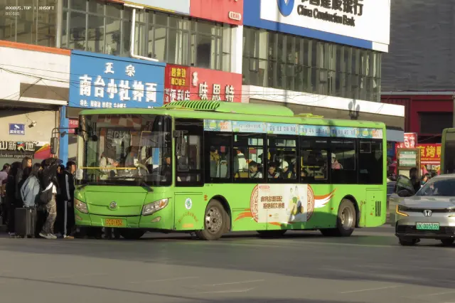800BUS