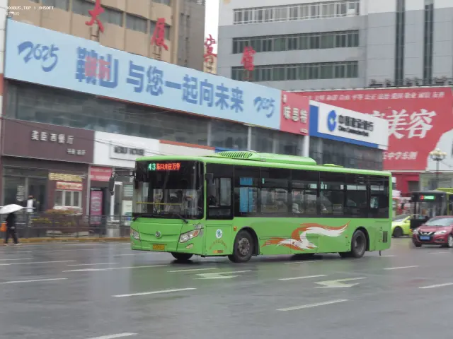 800BUS