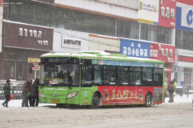 800BUS