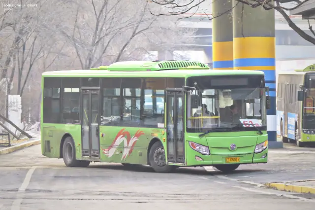 800BUS