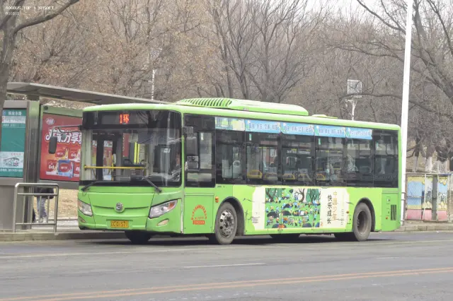 800BUS