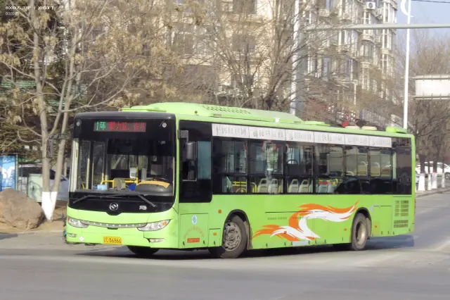 辽C B6866