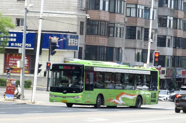 辽C B6866