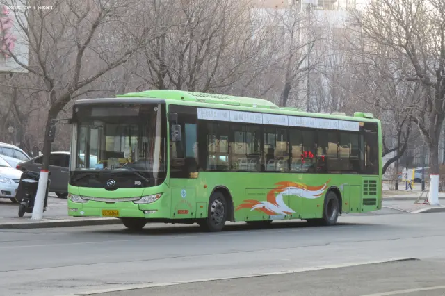 辽C B6866