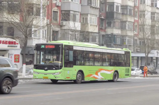 辽C B6866
