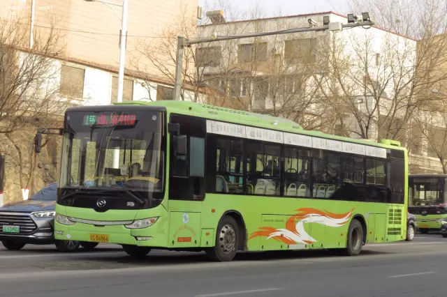 辽C B6866