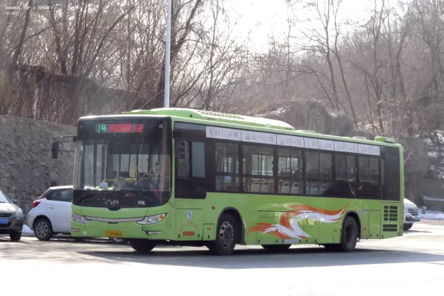 辽C B6866