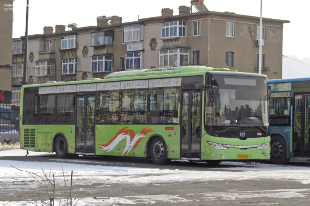 辽C B6866
