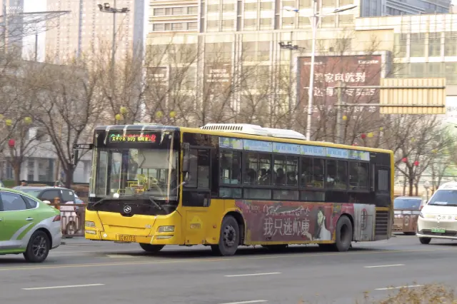 辽C B2733
