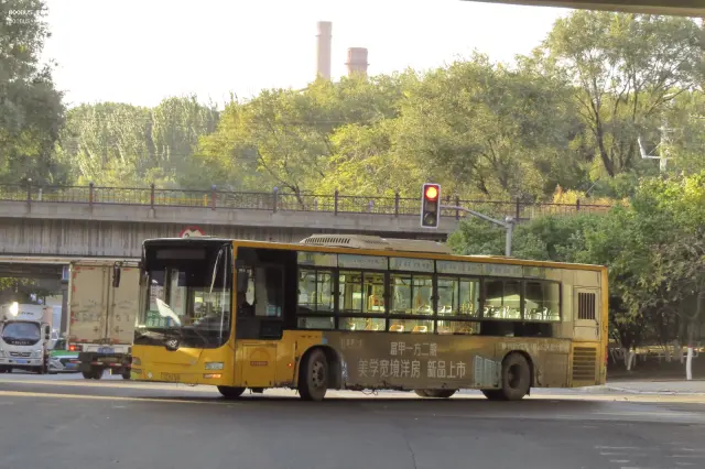 辽C B2768