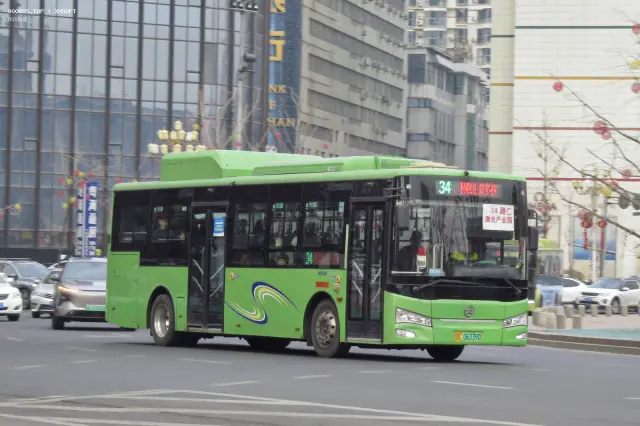 800BUS
