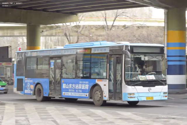 辽C F9103