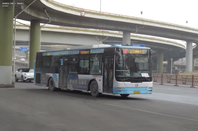 辽C C3635