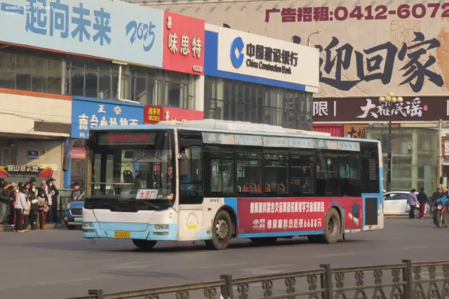 辽C D6021