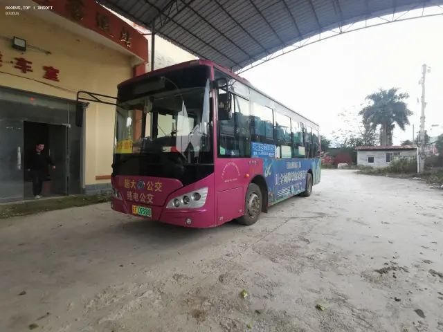 800BUS