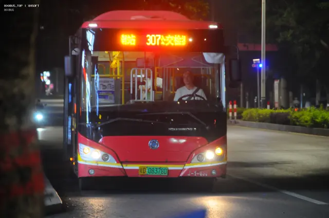 800BUS