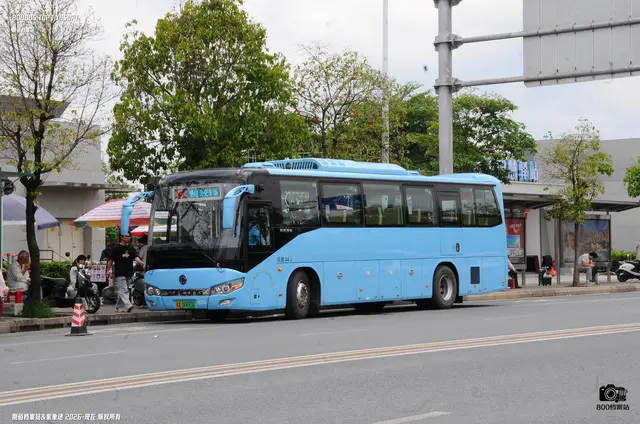 800BUS
