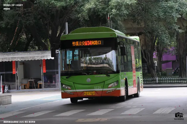 800BUS