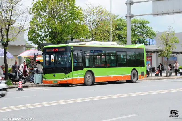 800BUS