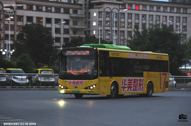 800BUS