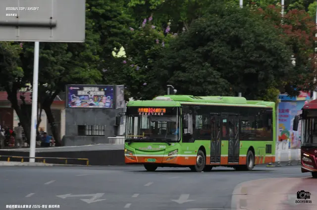 800BUS