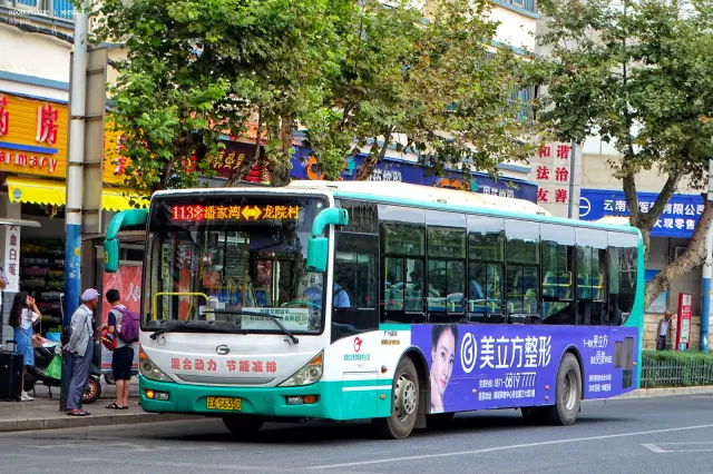 800BUS