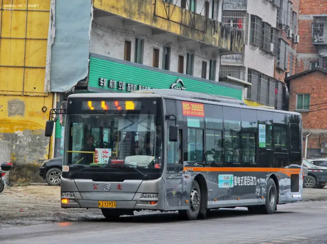 800BUS