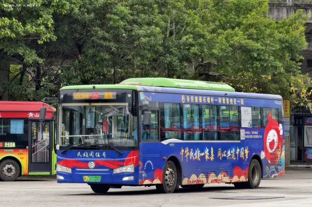 800BUS