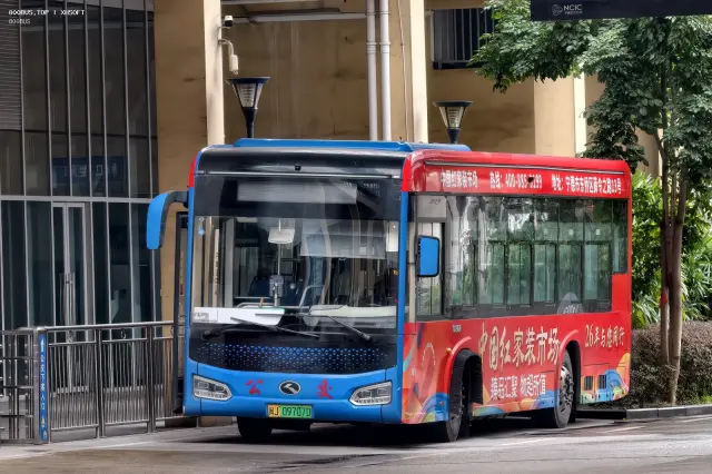 800BUS