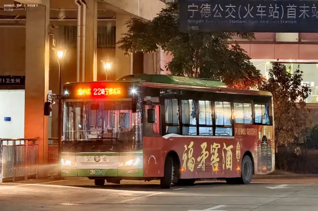 800BUS